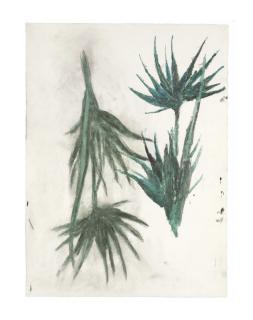 Terry Winters - Untitled