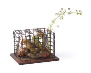 Tetsumi Kudo - Birdcage