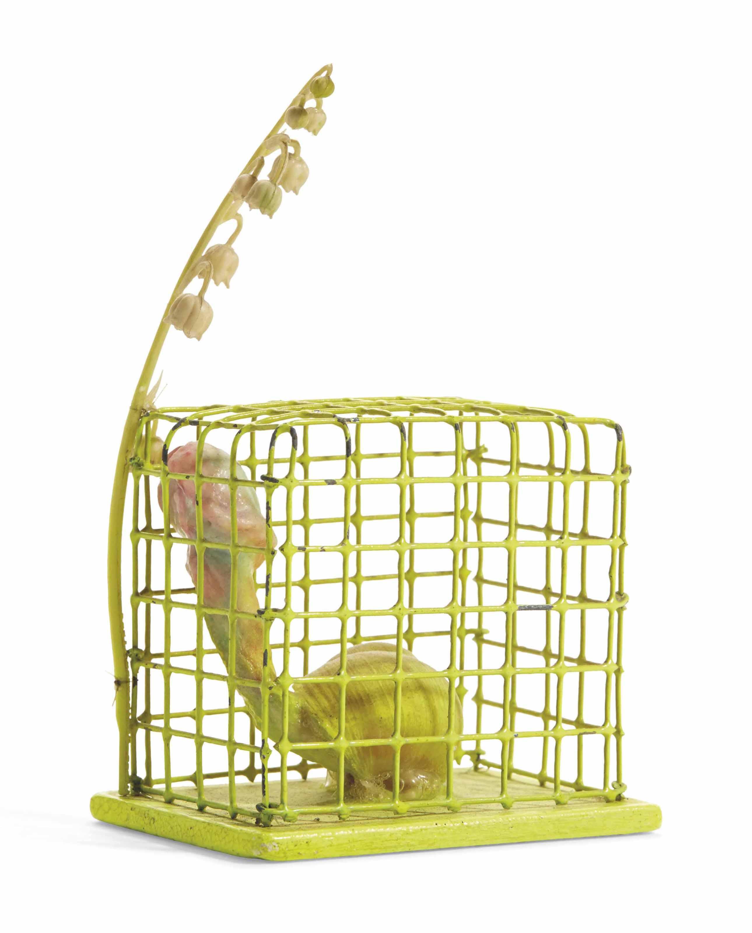 Tetsumi Kudo - Cage Jaune (Yellow Cage)