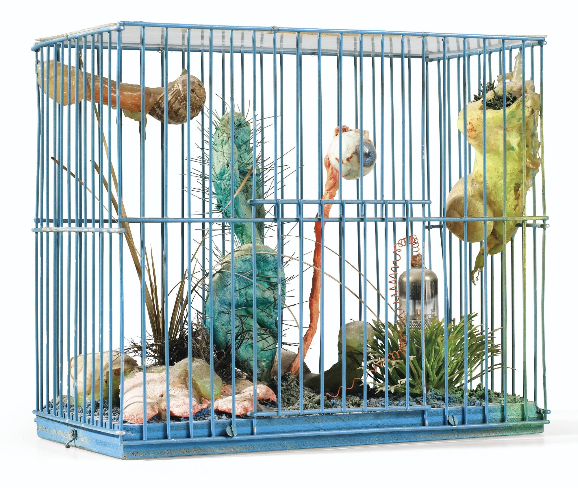 Tetsumi Kudo - Cultivation