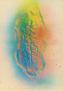 Tetsumi Kudo - Fossil In Hiroshima