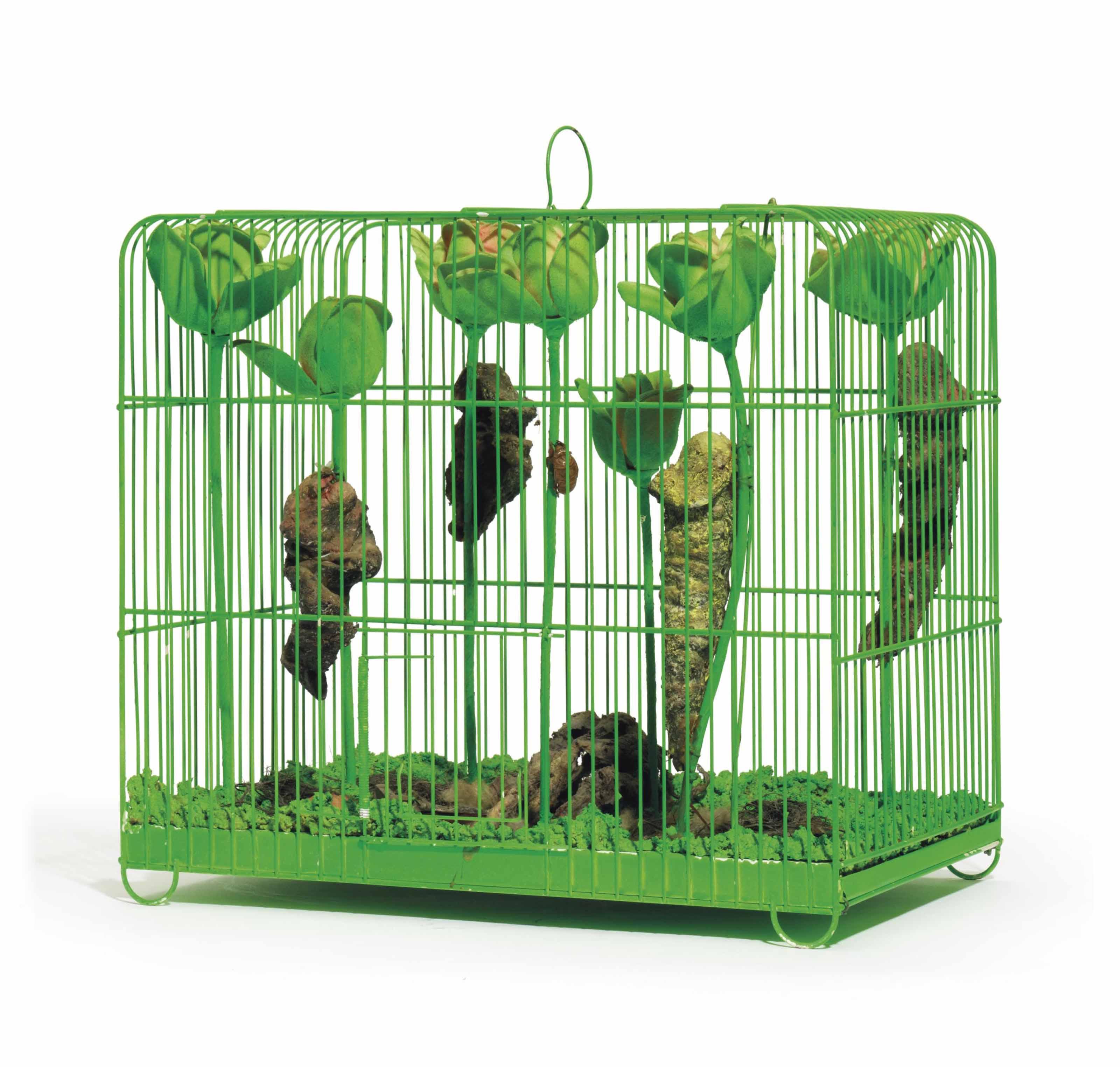 Tetsumi Kudo - Souvenir-La Mue (Memory-Pupal Skin)