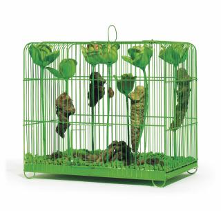 Tetsumi Kudo - Souvenir-La Mue (Memory-Pupal Skin)