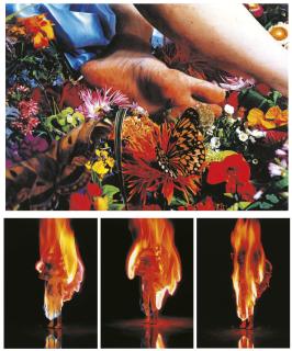 Tetsutaro Kamatani - Fire A, B, C & Simulation