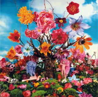 Tetsutaro Kamatani - HUMAN PARADISE II-32