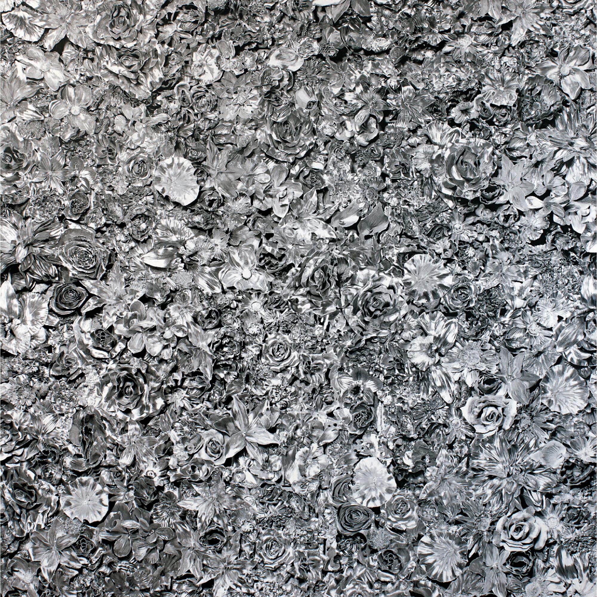 Tetsutaro Kamatani - Proliferation- Metal