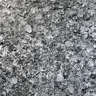 Tetsutaro Kamatani - Proliferation- Metal