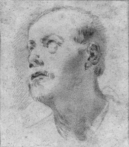 The head of a man looking up to the left