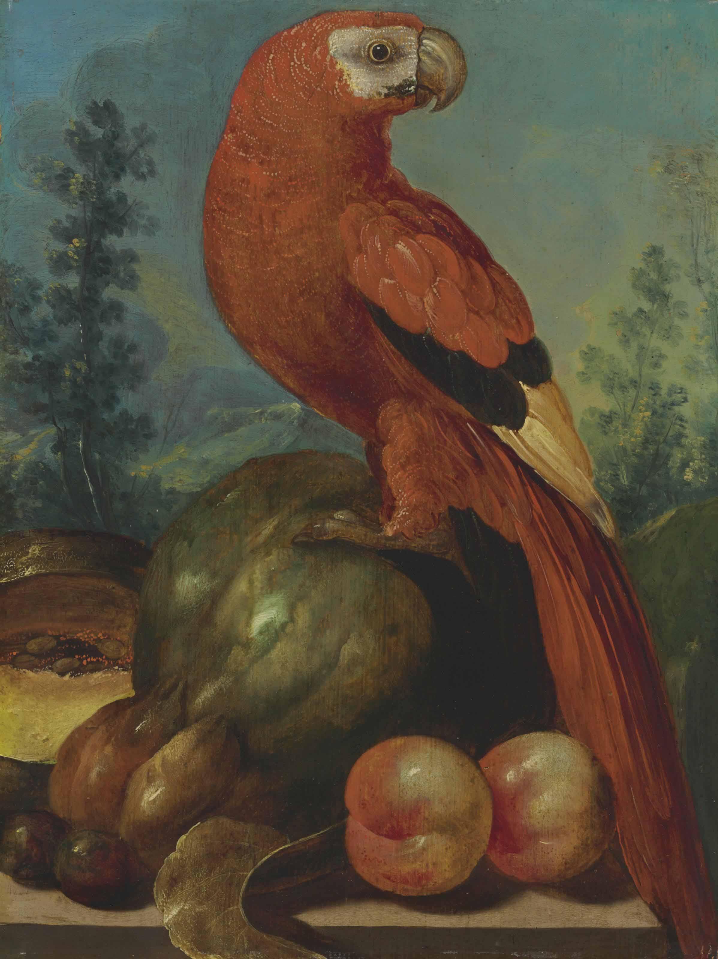 The Monogrammist C.Dh - A scarlet macaw with melons, peaches, plums and other fruit on a stone ledge