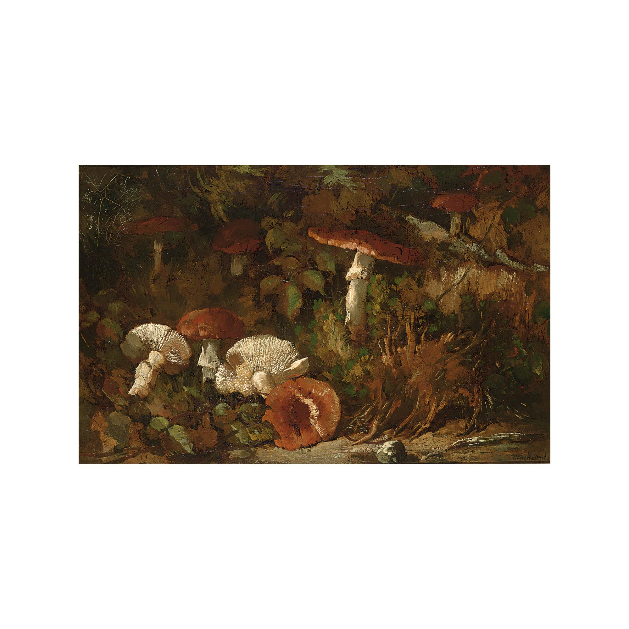 Theo Goedvriend - Mushrooms