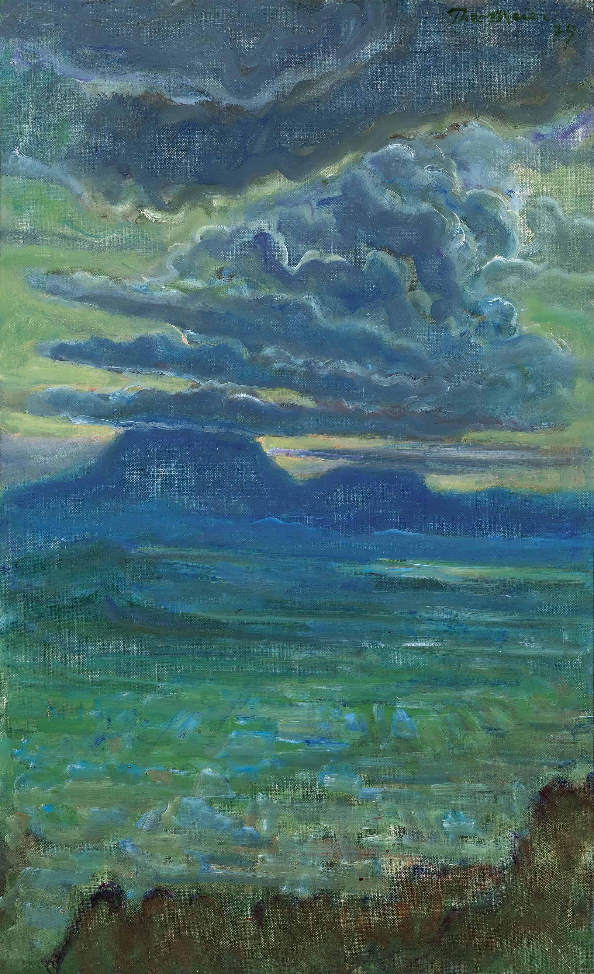 Theo Meier - Landscape