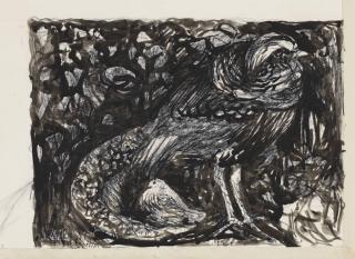 Theo van Hoytema - A Pheasant