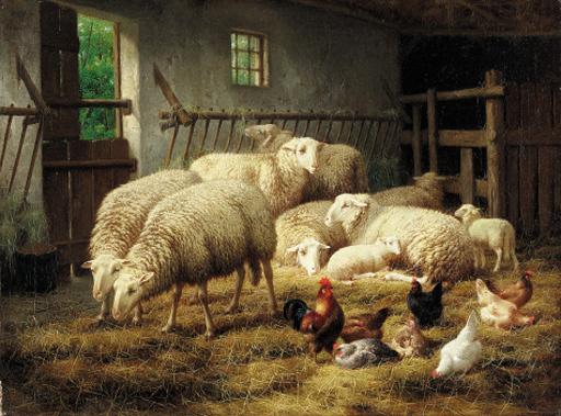 Theo Van Sluys - A stable with sheep and chickens
