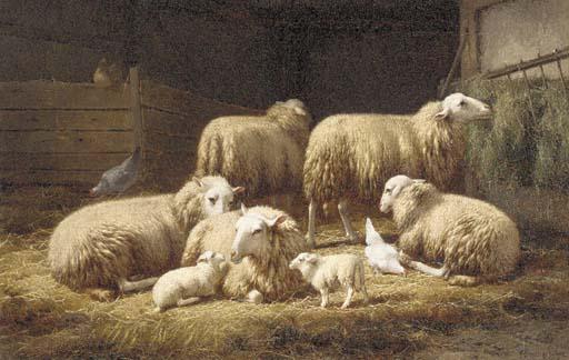Theo Van Sluys - Moutons dans la bergerie