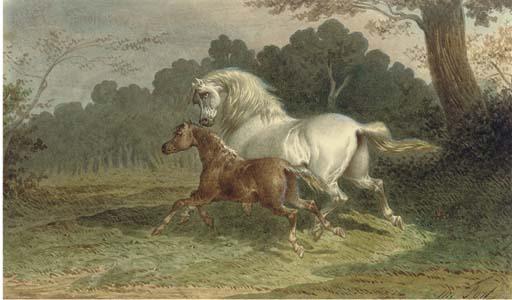 Thèodore Fort - A Grey Mare Galloping Through A Meadow With Her Foal At Her Side