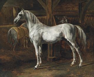 Théodore-Jean-Louis Géricault - Cheval blanc debout dans une écurie (Tamerlan, étalon des écuries de Versailles): White horse standing in a stable (Tamerlan, stallion of the Versailles stables)