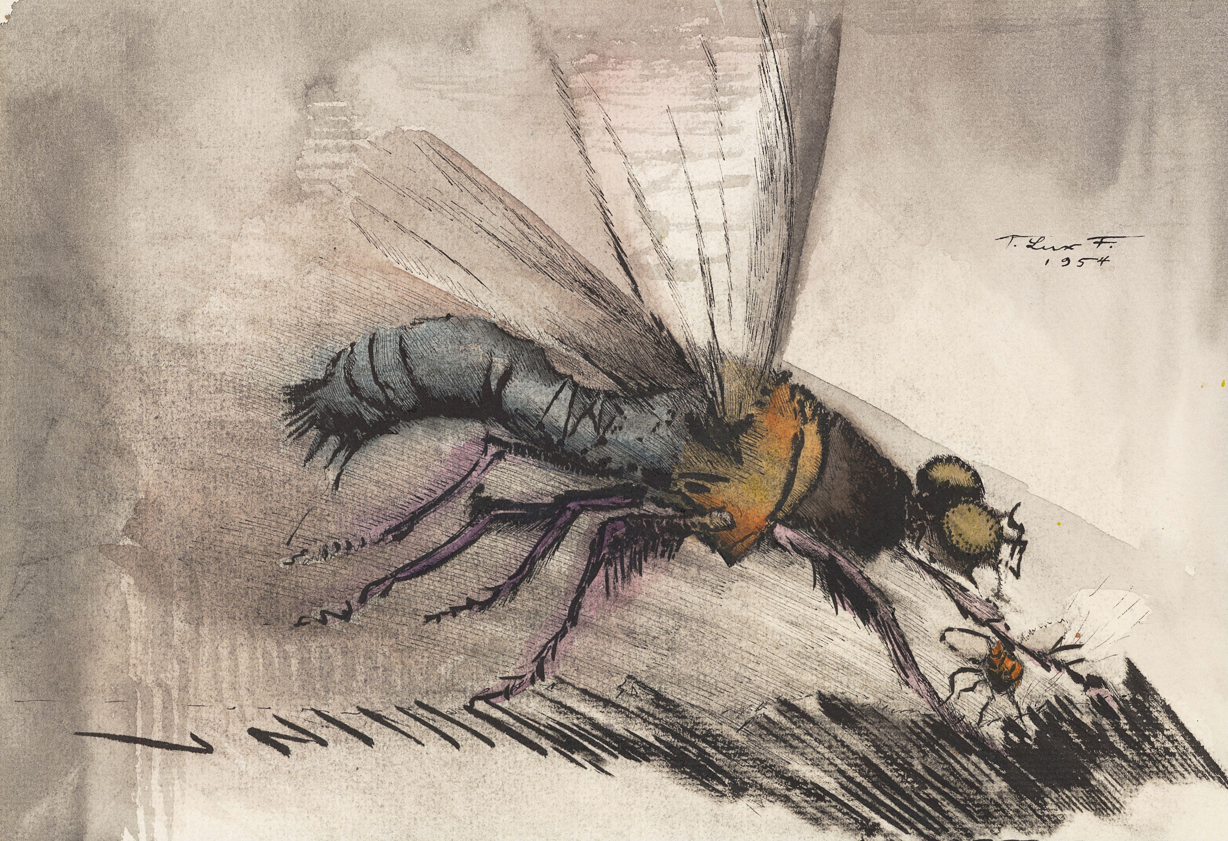 Theodore Lux Feininger - Insect