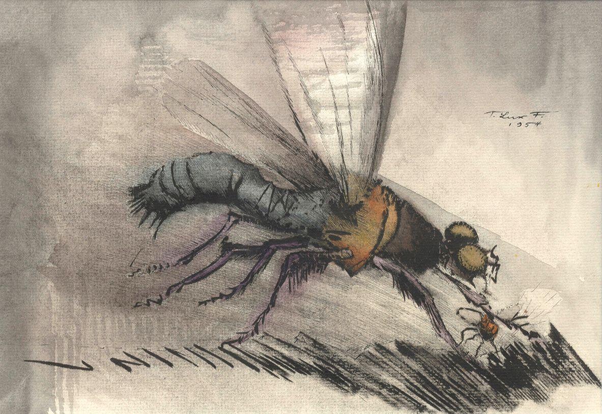 Theodore Lux Feininger - Insect