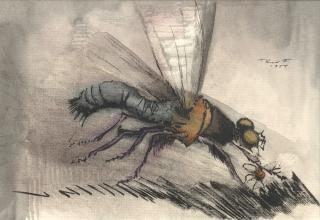Theodore Lux Feininger - Insect