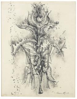 Theodore Roszak - Wild Blossom