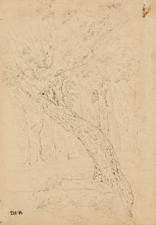 Théodore Rousseau - Baumstudie.