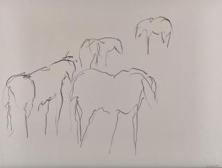 Theodore Waddell - Four Horses