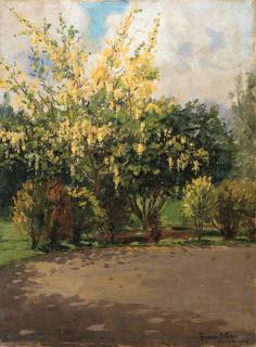 Theodore Wores - Golden Shower Tree