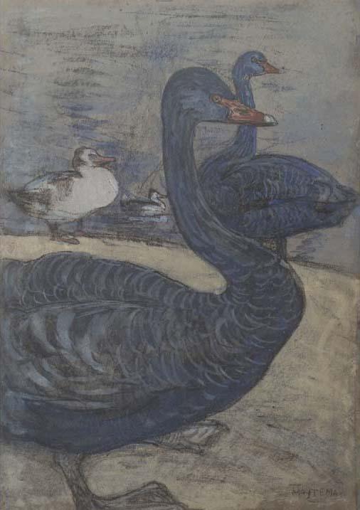 Theodorus Van Hoytema - Black Swans