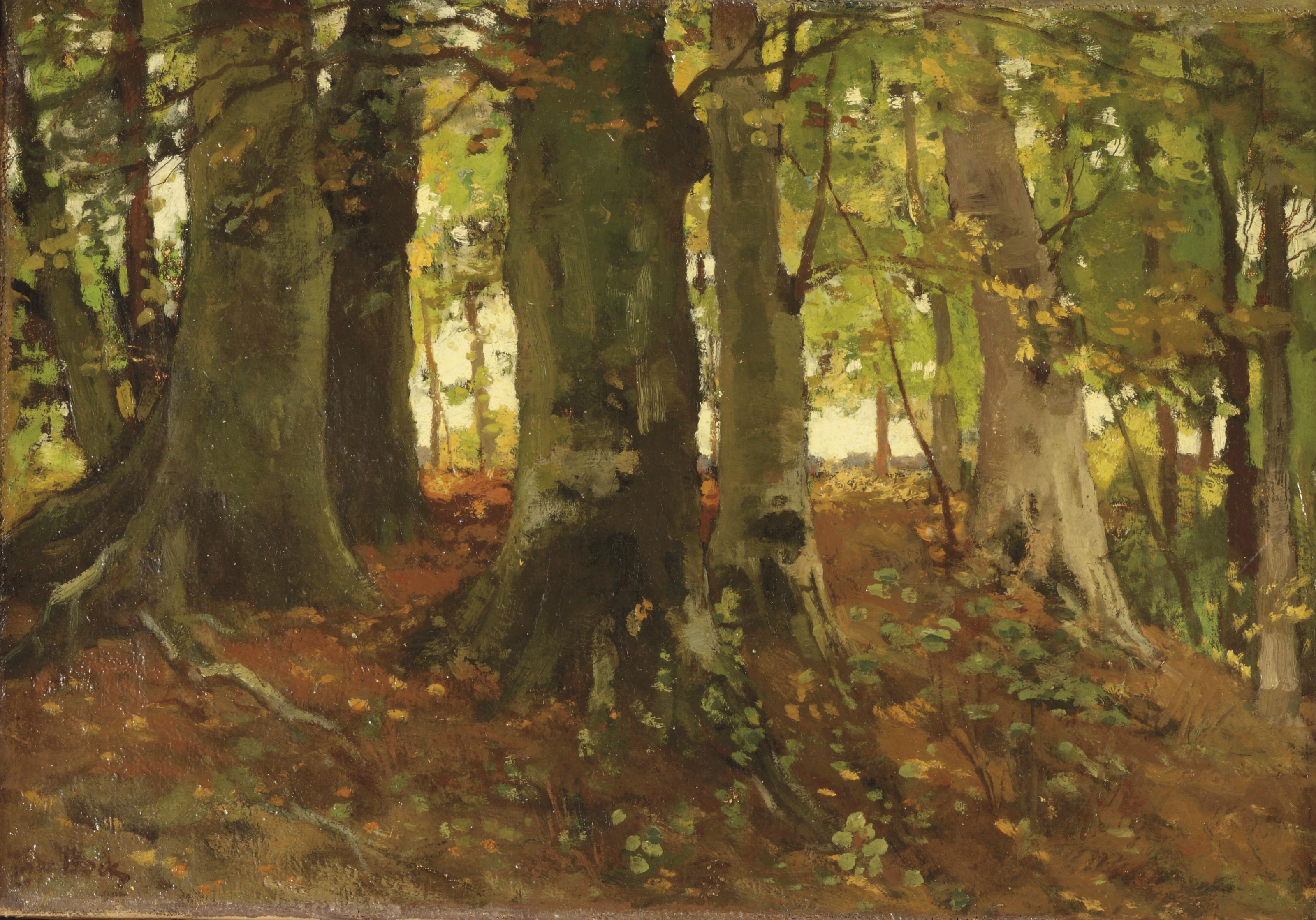 Theophile de Bock - A forest