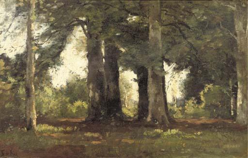Théophile Emile Achille de Bock - A forest