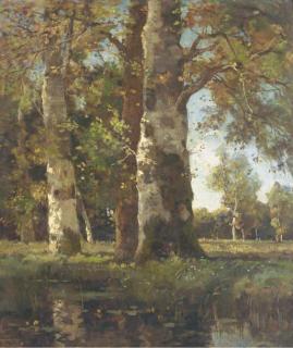 Théophile Emile Achille de Bock - Beuken stammen: sunlit beeches by a pond
