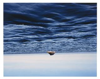 Thiago Rocha Pitta - Ocean/Atlas