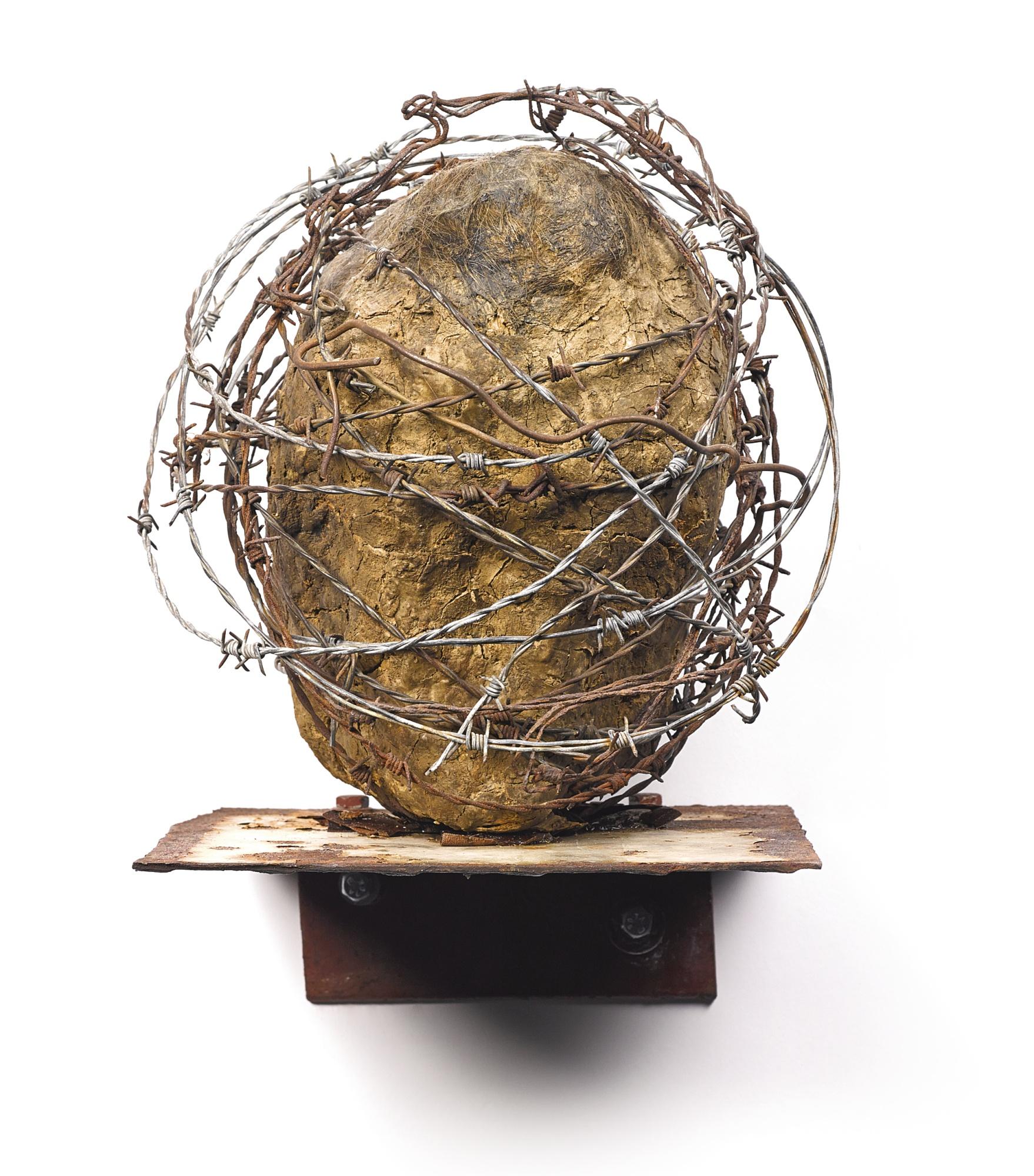 Thierry De Cordier - Groente (Pd)