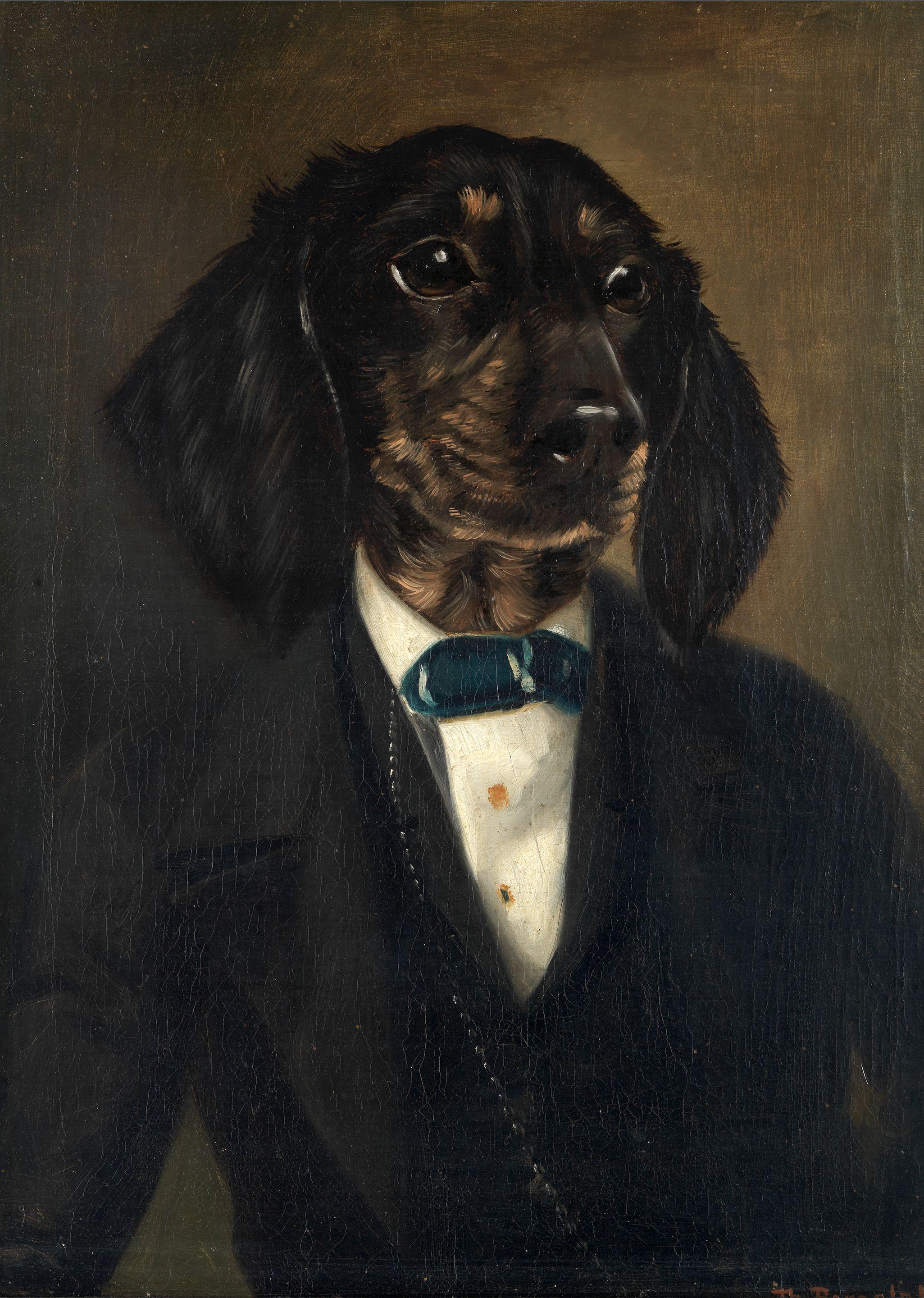 Thierry Poncelet - A dapper spaniel