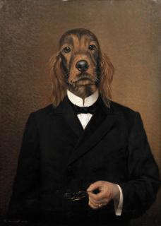 Thierry Poncelet - A gentleman setter
