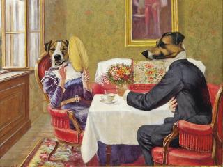 Thierry Poncelet - The suitor