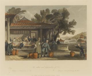 Thomas Allom - The Culture and Preparation of Tea, circa 1840
