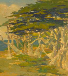 Thomas Arnold McGlynn - Monterey Cypress