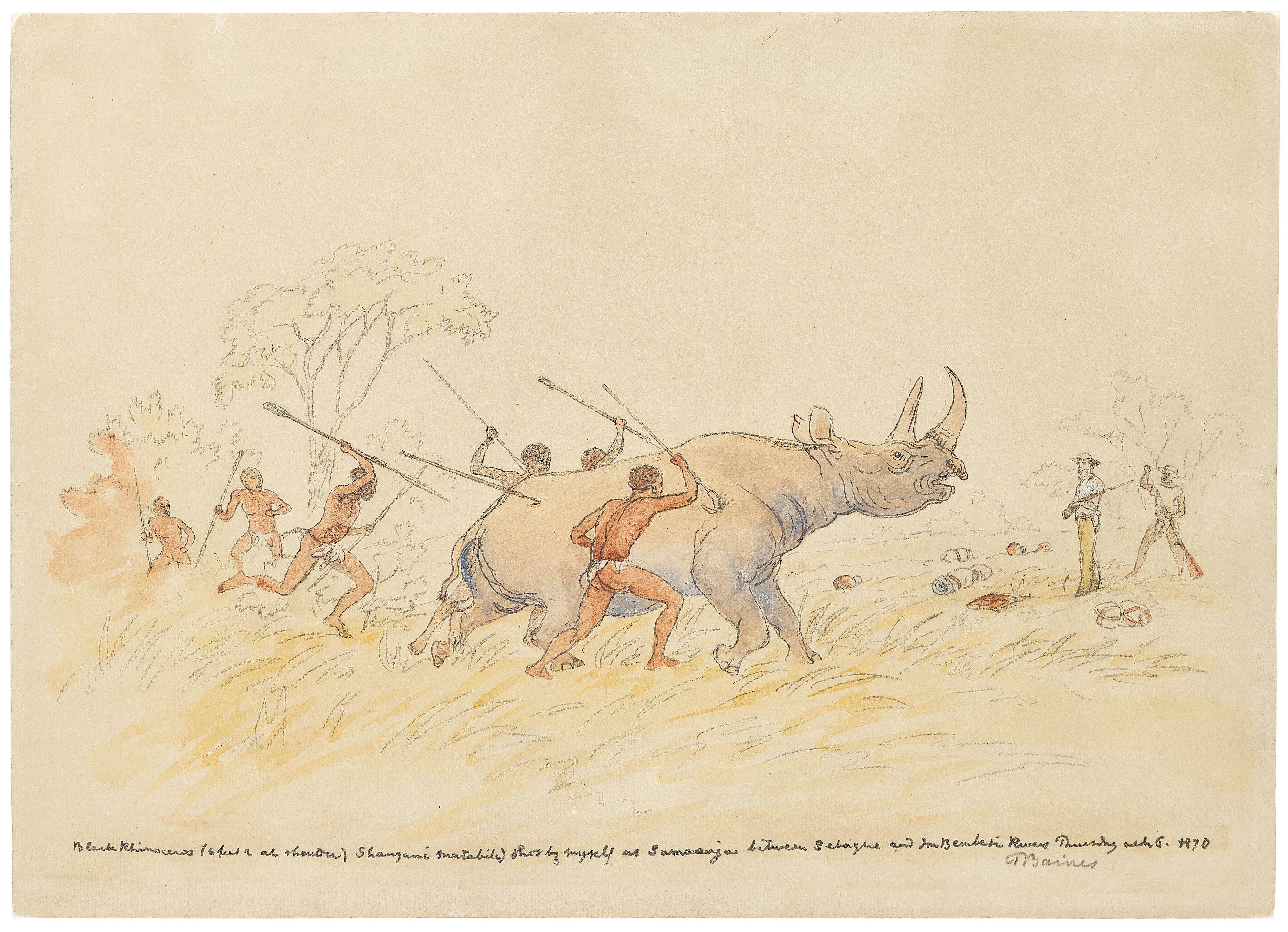 Thomas Baines - Black Rhinoceros at Samarinja