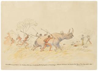 Thomas Baines - Black Rhinoceros at Samarinja