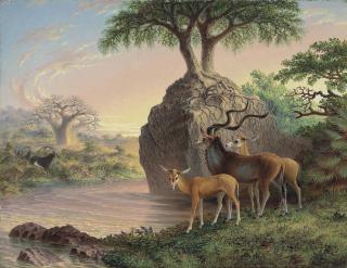 Thomas Baines - Koodoos, Luisi River, Zambesi Valley