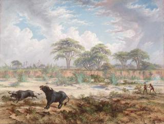 Thomas Baines - The Death Shot