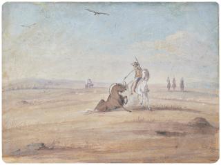 Thomas Baines - The Disabled Gnu, Mooi River