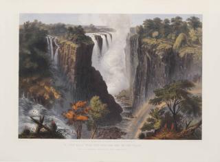 Thomas Baines - Unknown