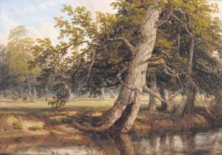 Thomas Baker Of Leamington - A Sunlit Wooded River Landscape