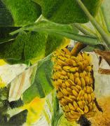 Thomas Baumgärtel - »Bananenstaude«