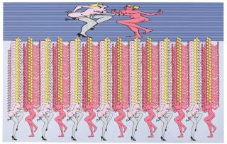 Thomas Bayrle - Feuer Im Weizen Serie Ii