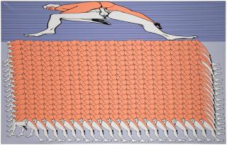 Thomas Bayrle - Flying Home