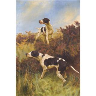 Thomas Blinks - A Good Point