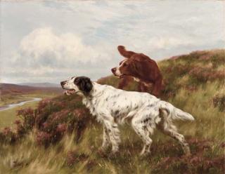 Thomas Blinks - An English And An Irish Setter On A Moor